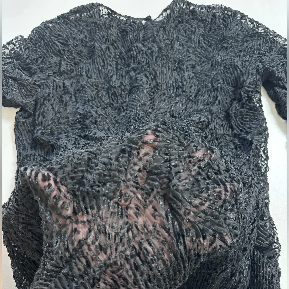 Vintage 90s Sheer + Velvet Crinkle Pleat Top - Picture 4 of 4